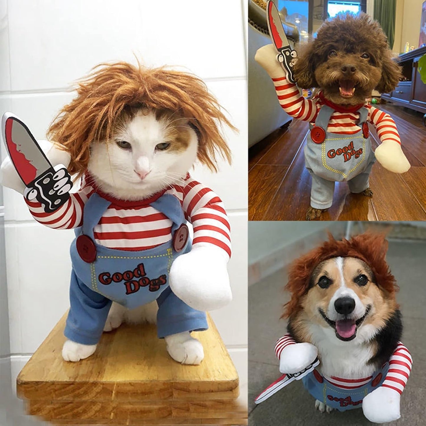 Hallowen Dog Costume