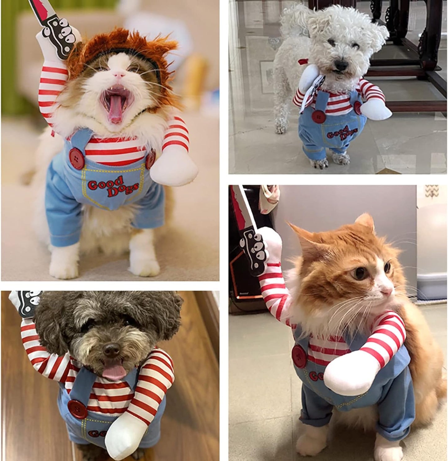 Hallowen Dog Costume