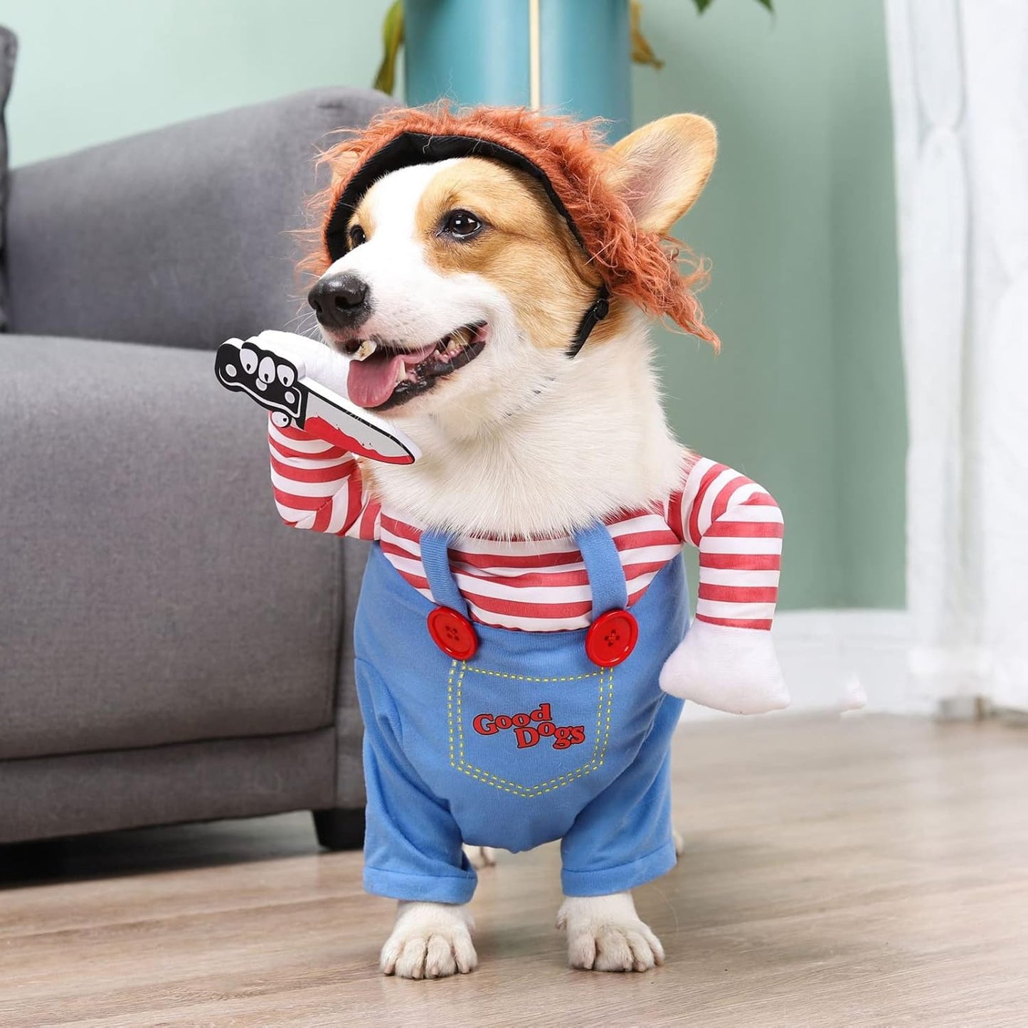 Hallowen Dog Costume