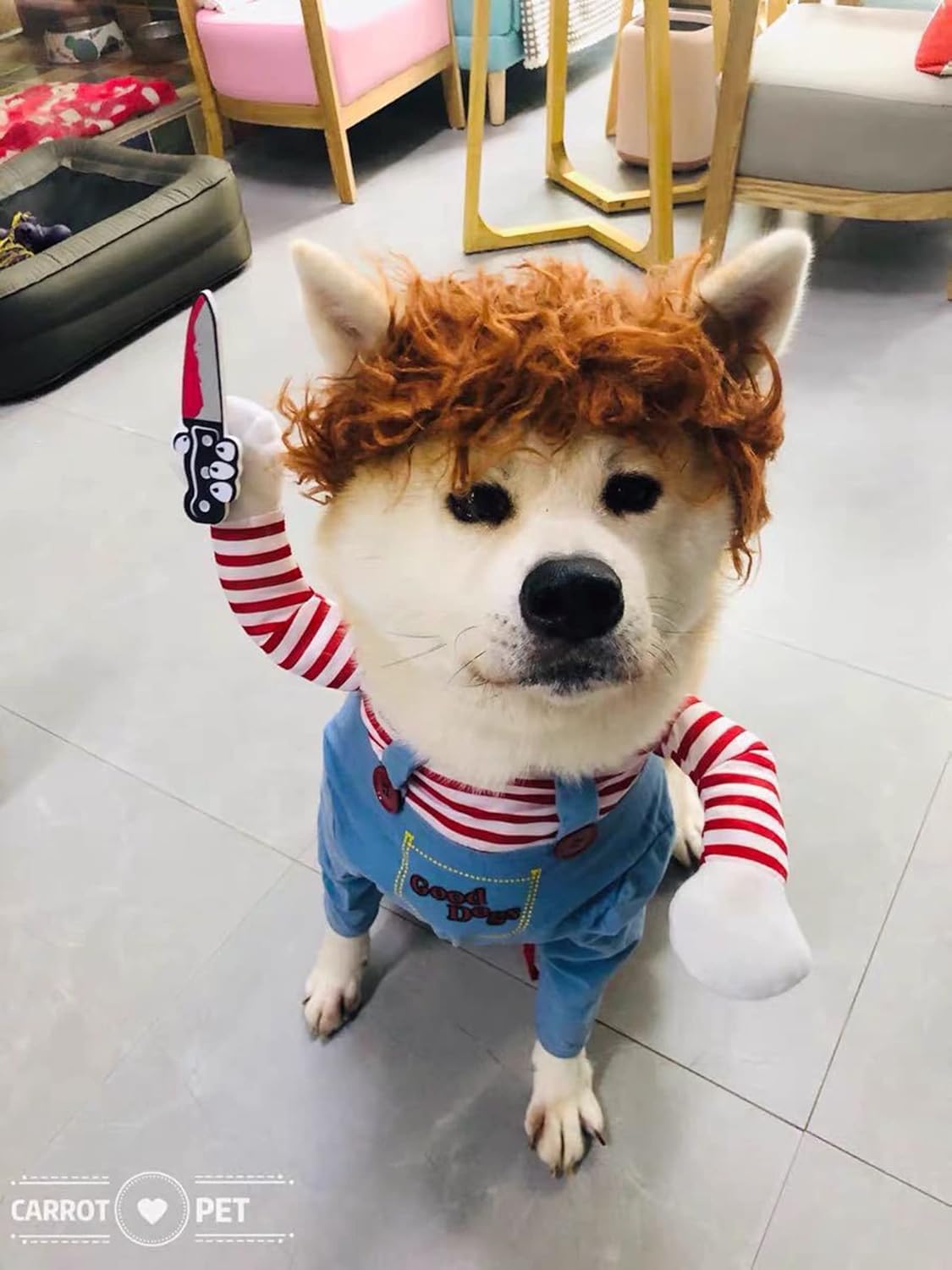 Hallowen Dog Costume