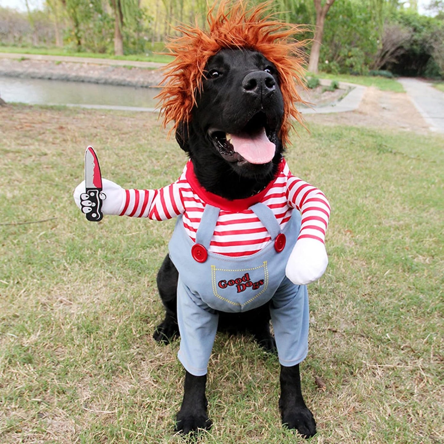 Hallowen Dog Costume